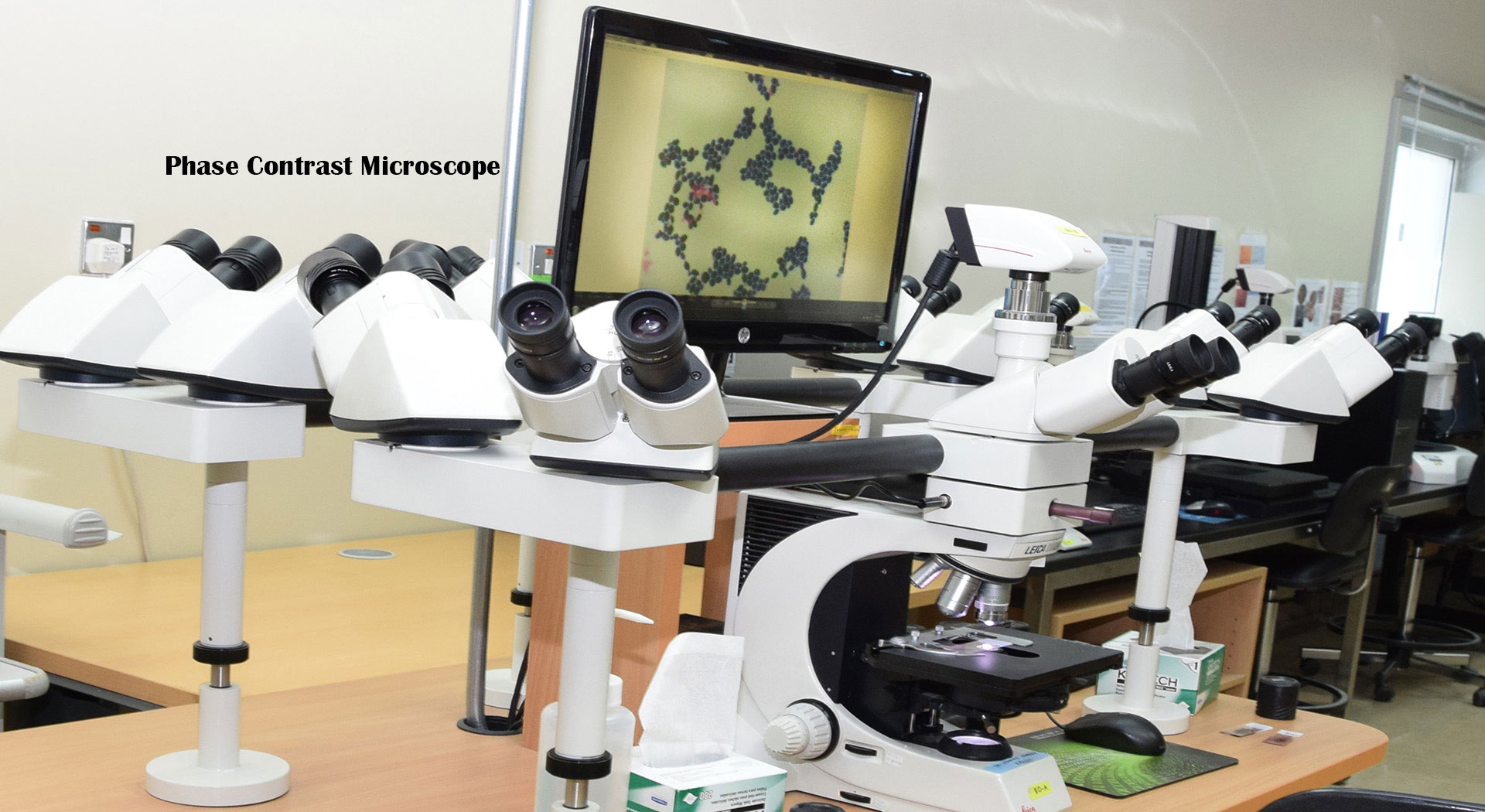 Phase Contrast Microscope